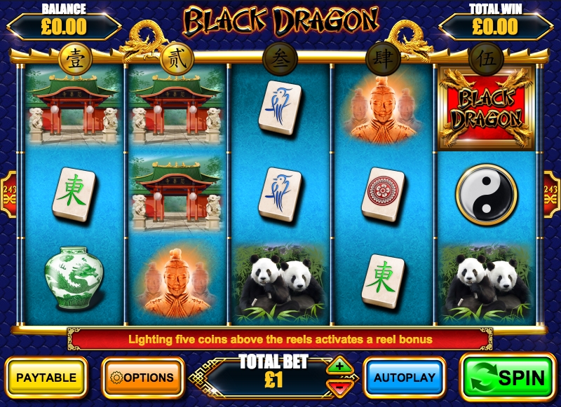   :  Black Dragon    Starda Casino